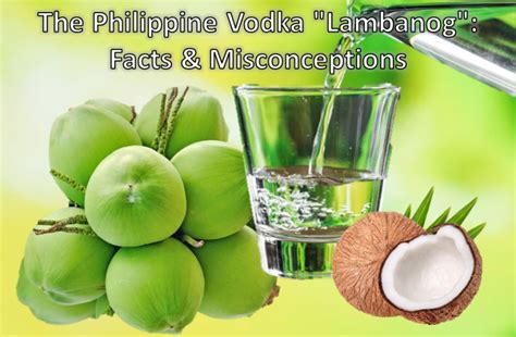 mabangong alcohol|The Philippine Vodka “Lambanog”: Facts.